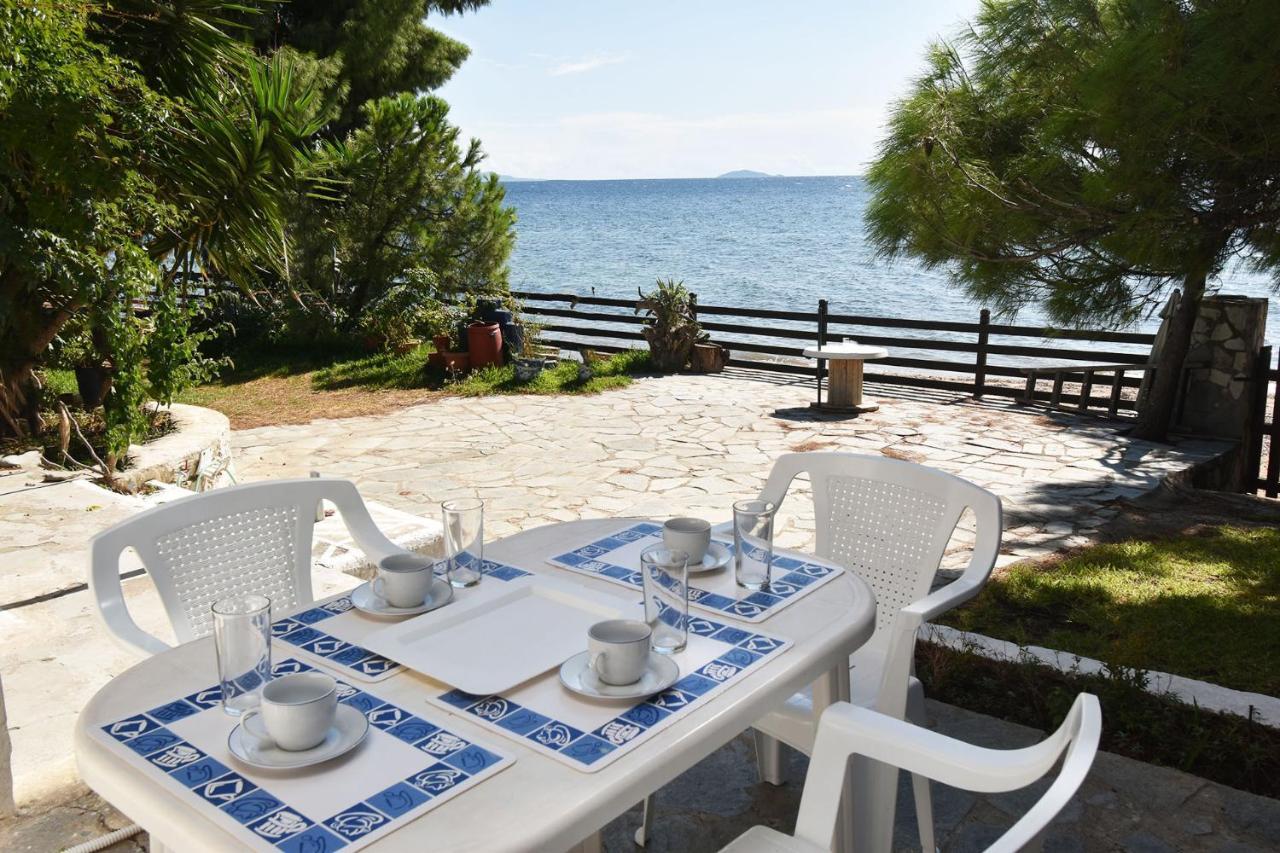 Barlee Beach Front House, Metamorfosi מראה חיצוני תמונה