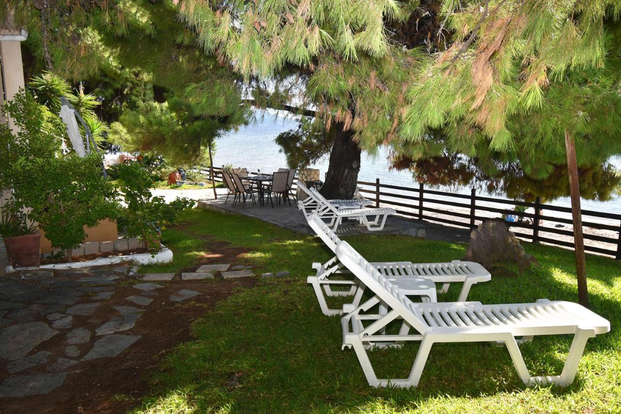 Barlee Beach Front House, Metamorfosi מראה חיצוני תמונה